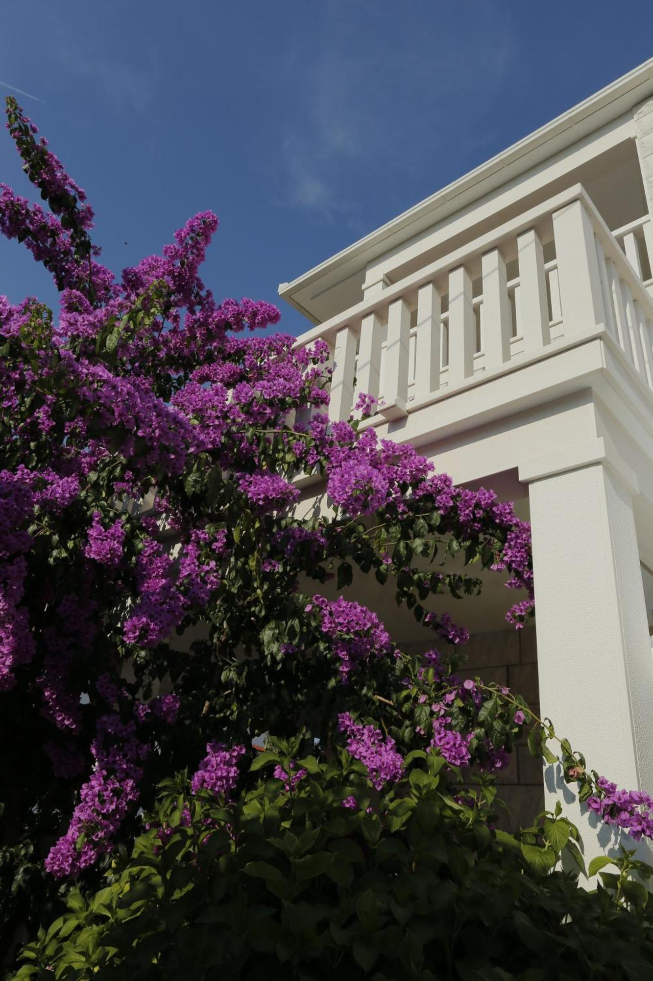 Apartments Marino Supetar Exterior foto
